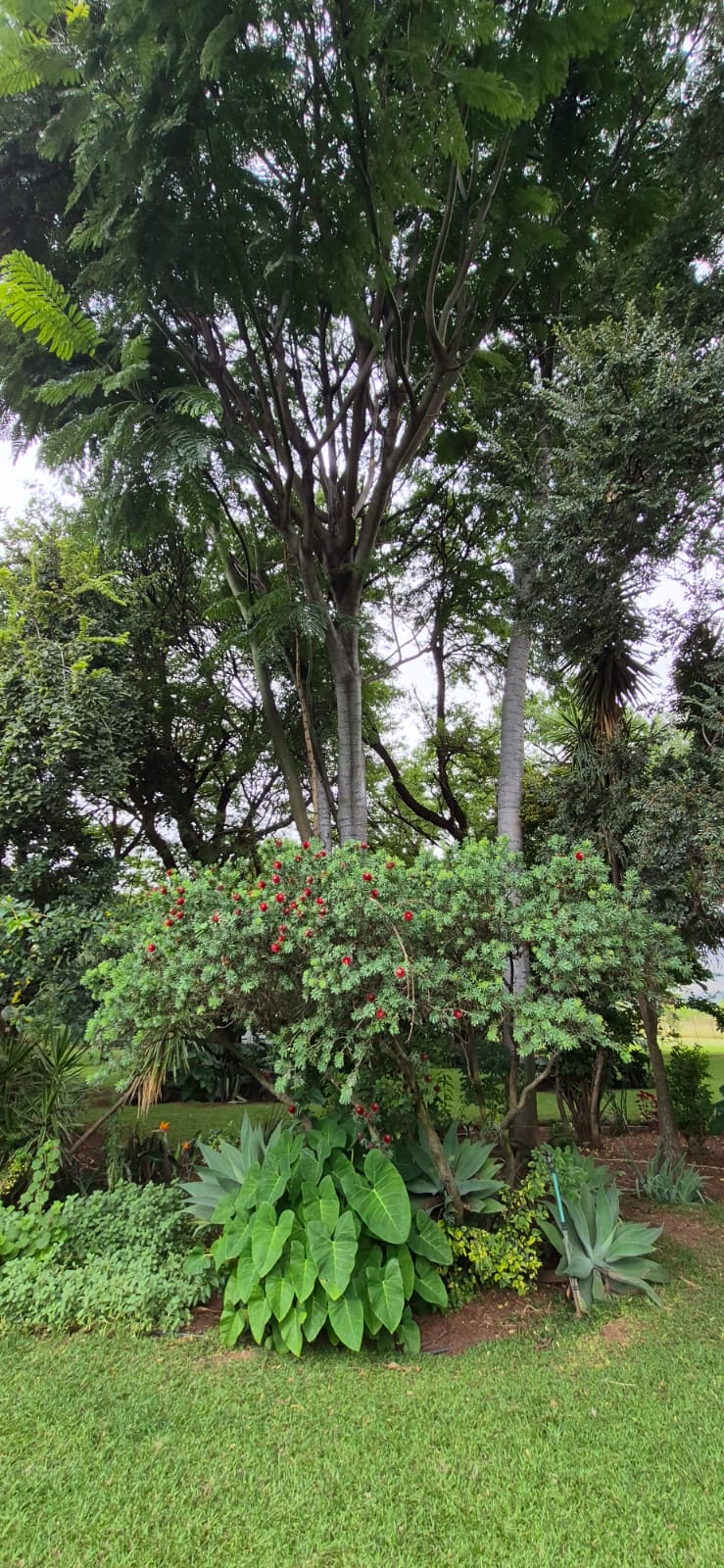 7 Bedroom Property for Sale in Modderfontein AH North West